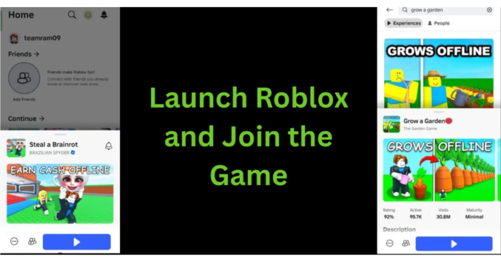 Steal a Brainrot script
